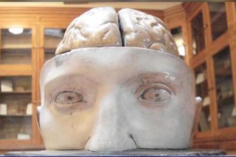 Medicamentul care încetinește îmbătrânirea creierului și ajută memoria: E nevoie de doar două doze