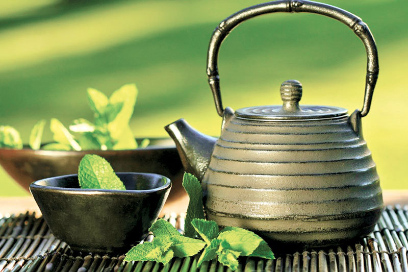 Fermierii, încurajați să pună pliculețe de ceai în grădină în luna februarie 