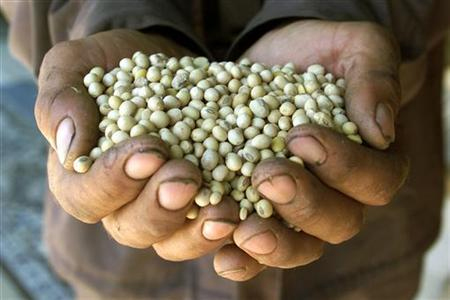 Avertismentul nutriționistului Mihaela Bilic. Ce aliment poate fi și nociv pentru organism. Este consumat frecvent în post