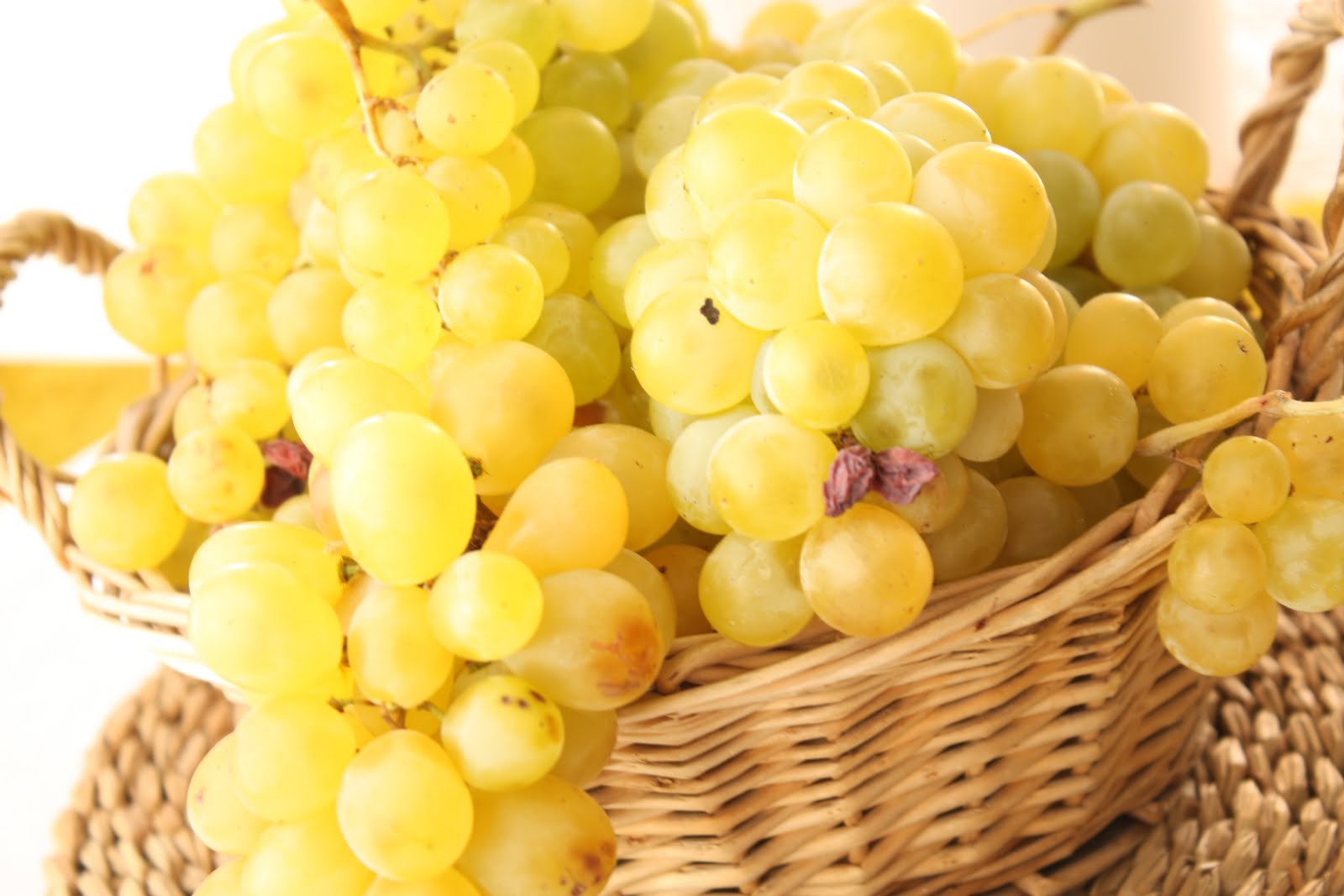 „Mă doare doar să privesc”. Motivul incredibil pentru care un fermier din CALIFORNIA a fost nevoit să arunce toată recolta, 25 de tone de struguri