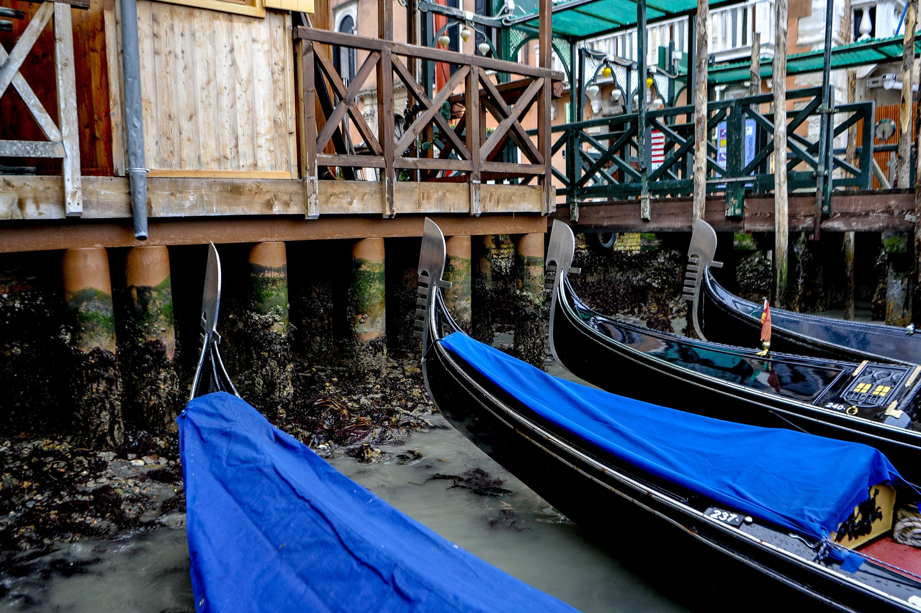 Plimbare ieftină cu gondola, cea mai nouă atracție pentru turiștii din Veneția. Poate COSTA doar 2 euro, în loc să plătești între 80 și 120 de euro