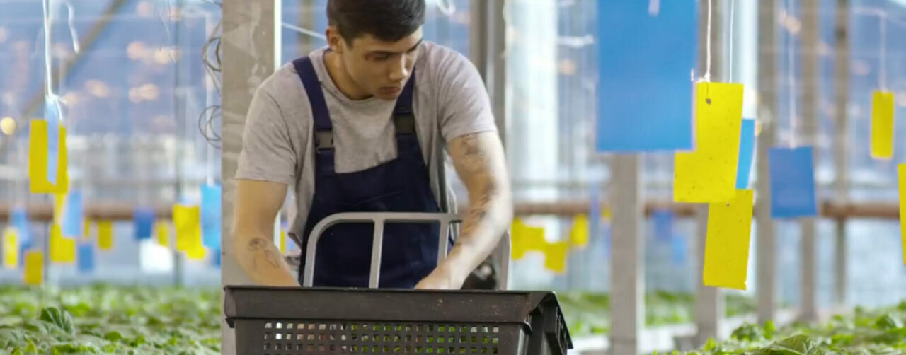 Cât timp ar trebui să muncească un nepalez în România pentru a-și putea CUMPĂRA o casă în țara sa natală. Sumele diferă în funcție de loc și imobil