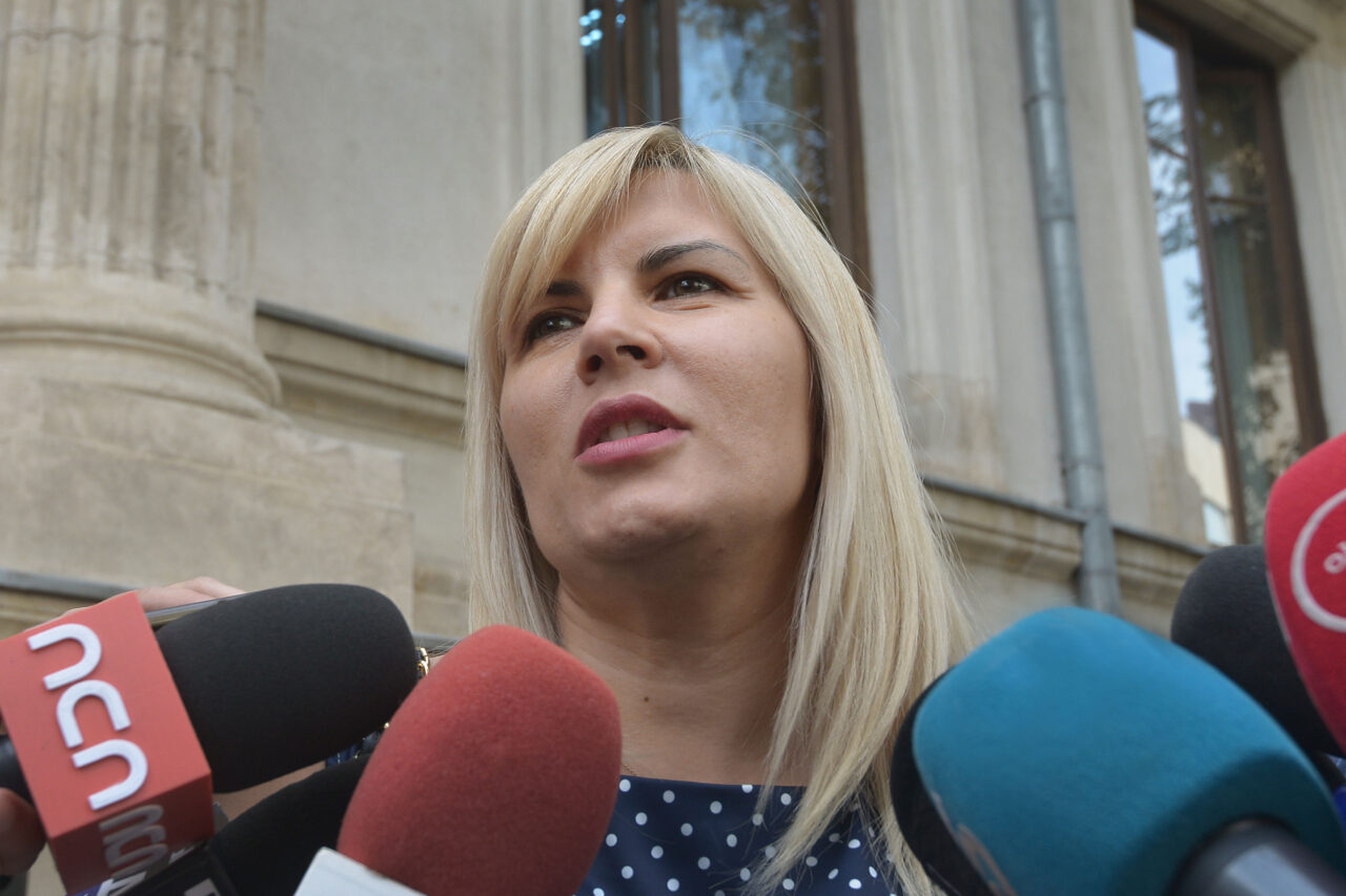 Udrea propune două nume de premier: „Cu două variante liberale, poate că PNL e dispus să intre la guvernare și să încheie criza politică”