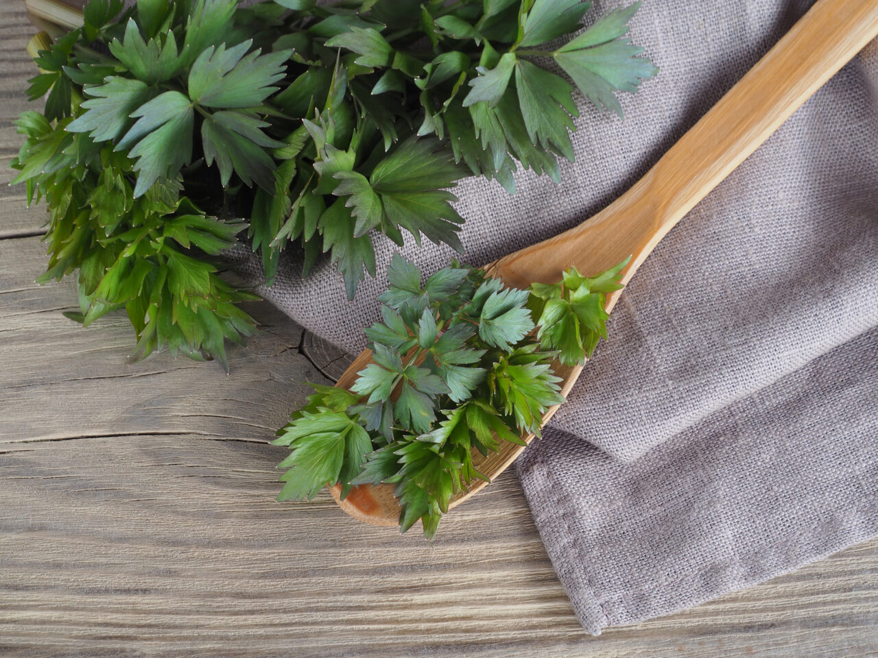 De ce nu e bine să pui leuștean în toate ciorbele sau în anumite supe. Explicațiile specialiștilor în gastronomie sunt clare