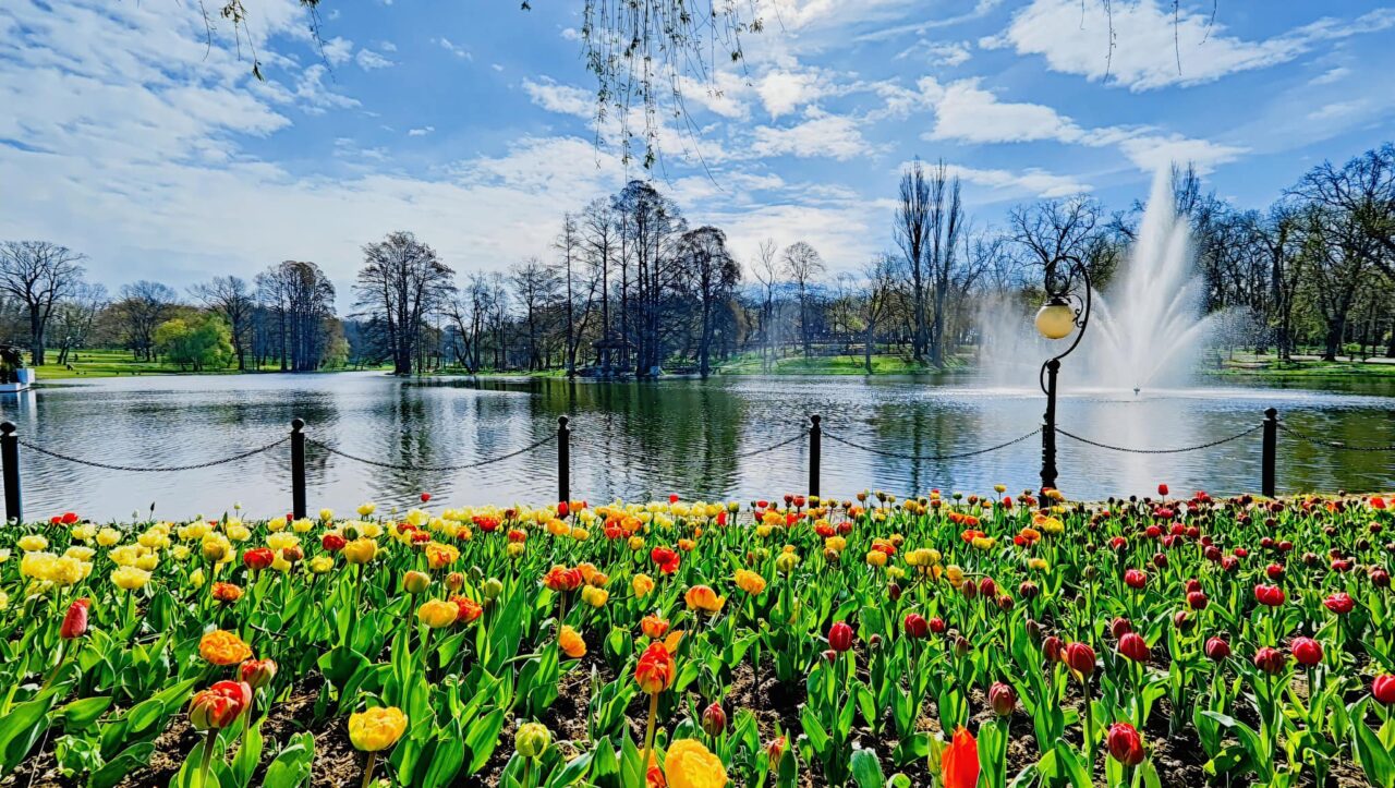 Craiova, în topul preferințelor pentru city-break: tot mai mulți turiști descoperă farmecul orașului