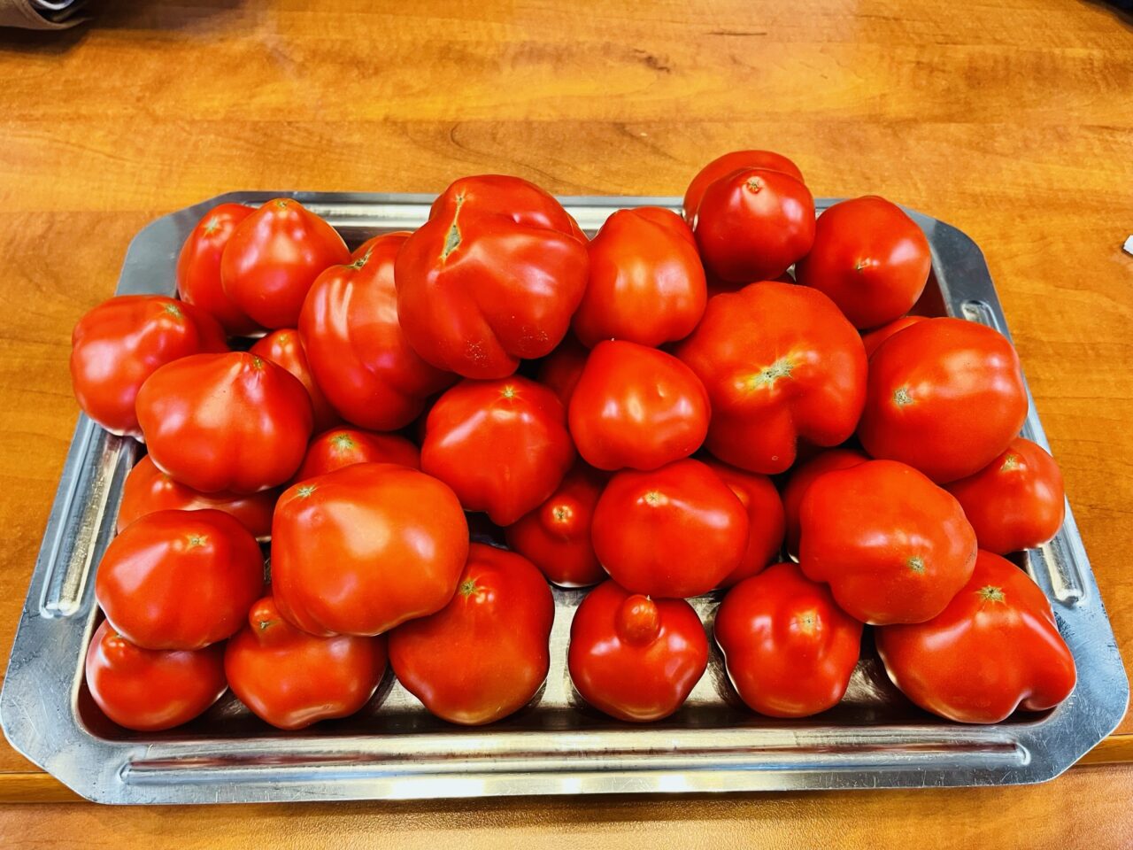 Când este bine să stropim roșiile cu lapte. Trucul natural folosit de grădinarii cu experiență