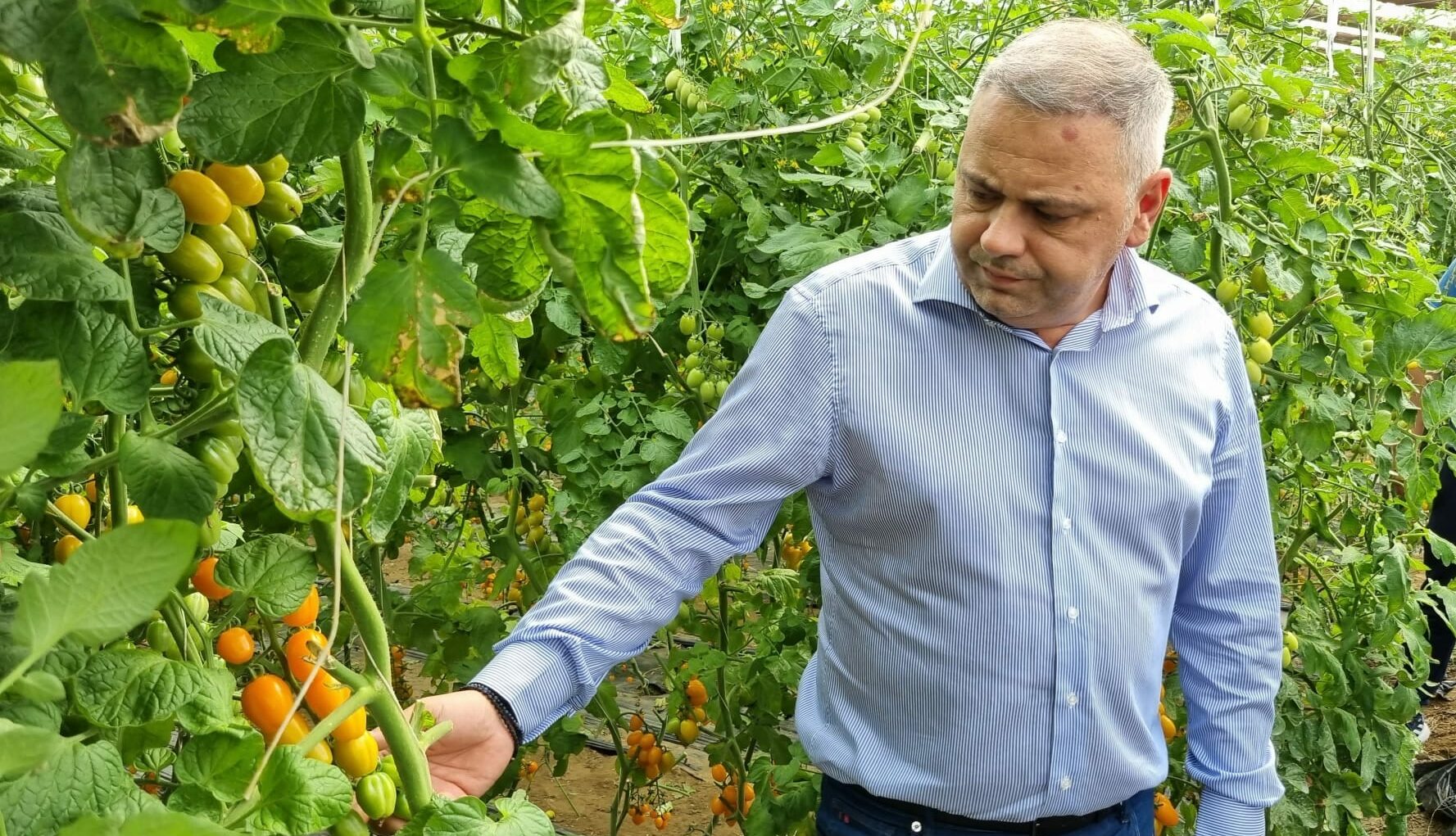 România, cel mai mare exportator de cereale din UE