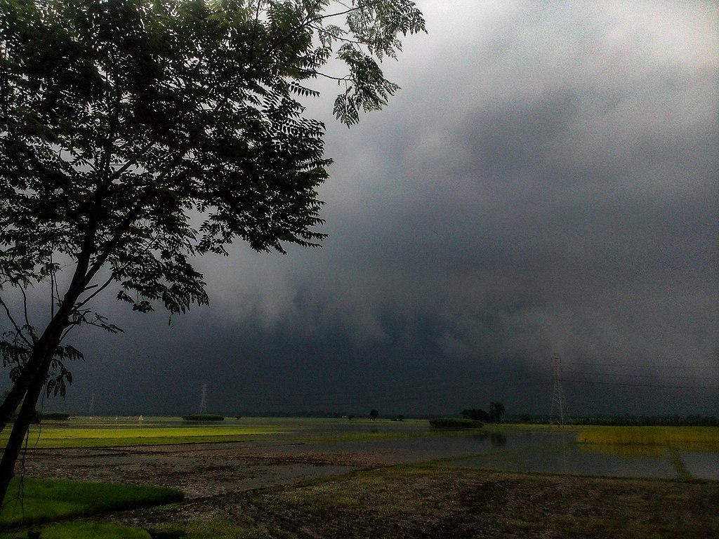 ANM a transmis avertizare imediată tip cod galben de vânt puternic în 4 județe. Vântul va sufla cu 110 km/oră și sunt așteptate ninsori