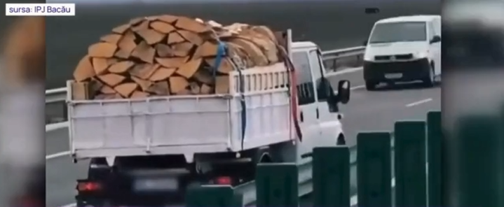 Diana Buzoianu anunţă că, din 3 controale la depozitele de lemne, au rezultat 3 dosare penale: „Așa arată când Garda Forestieră nu întoarce privirea”