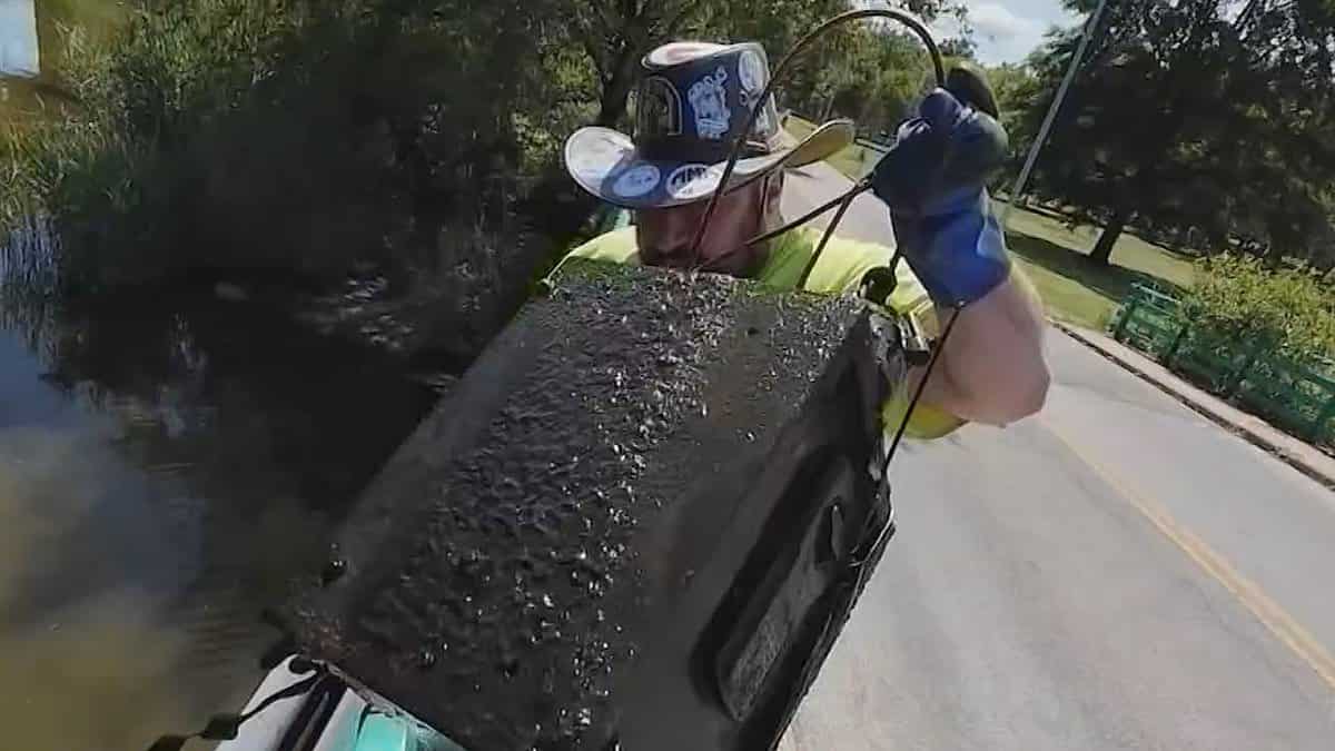 Este alertă în Timiș după ce un seif, cu urme de forțare, a fost găsit pe un drum agricol. Polițiștii au aflat cui aparținea și ce sumă se afla în el