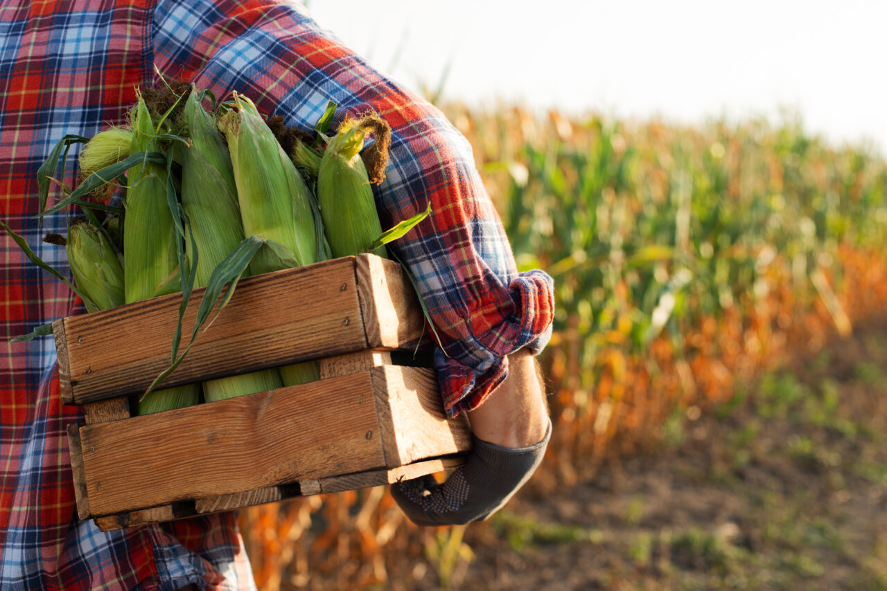 Raport EUROSTAT: românii muncesc mult, dar pe bani puțini. Câte ore pe an trage un angajat din București