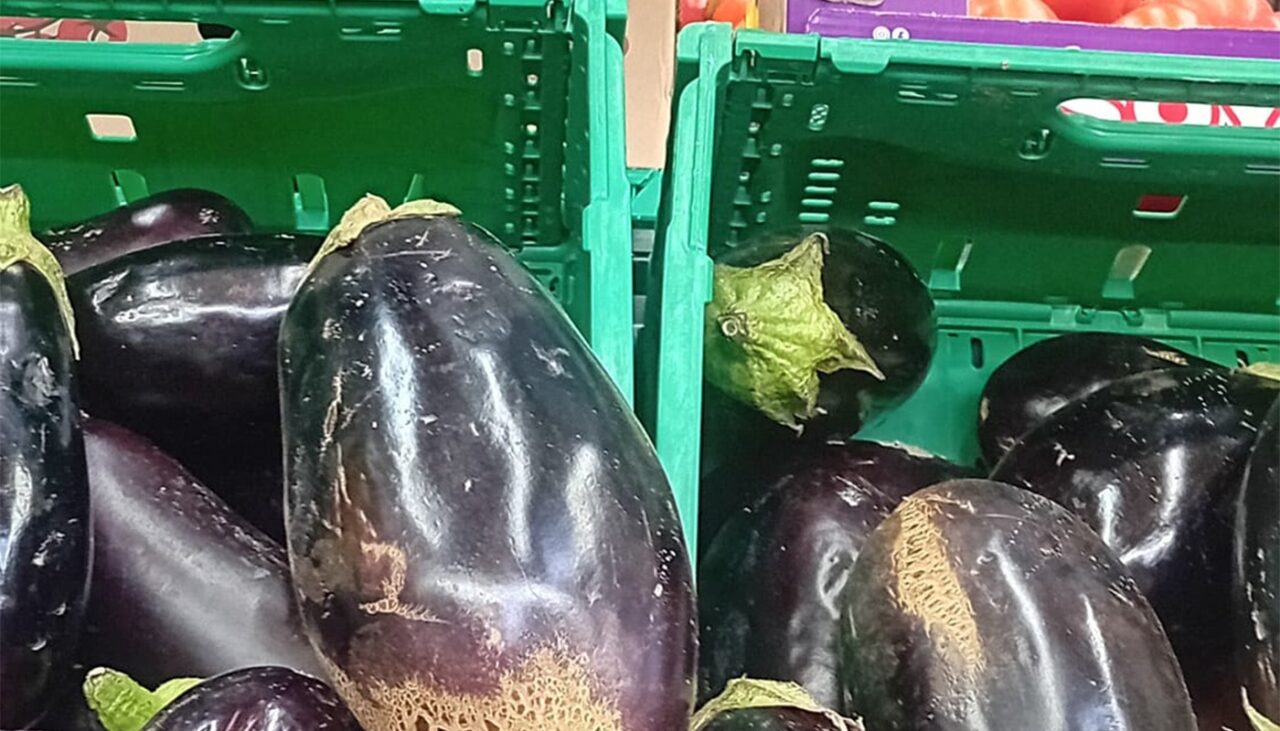 Sfaturi utile pentru ca VINETELE să se păstreze mai bine la congelator, pentru iarnă! Care e secretul gospodinelor