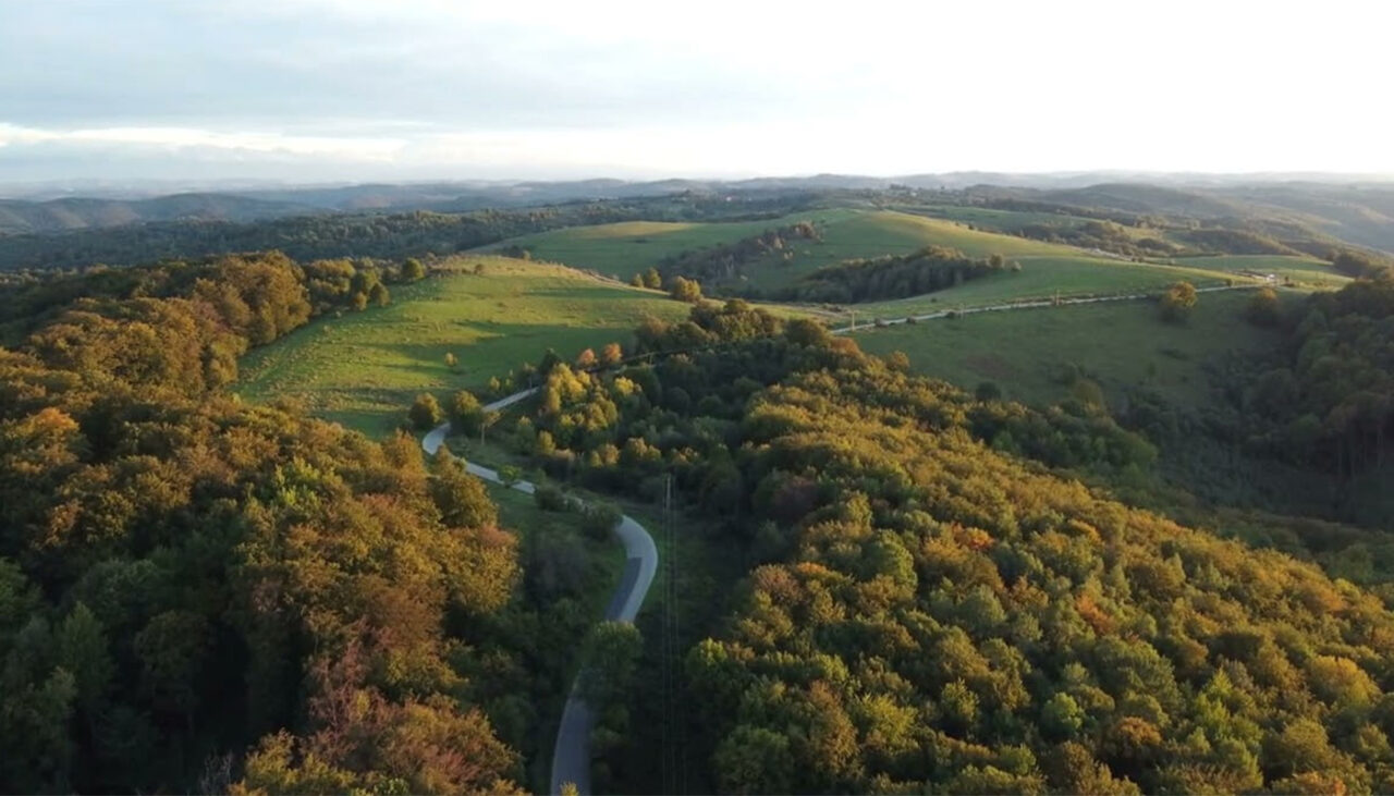Oamenii de știință au descoperit o pădure preistorică, îngropată sub Marea Nordului
