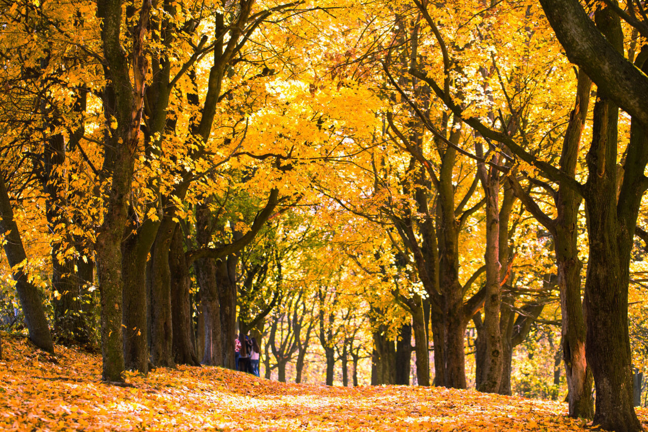 ANM anunță o lună septembrie cu temperaturi neașteptate. Cum va fi vremea în următoarele patru săptămâni