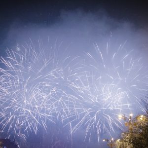 Căprioarele pripășite în Crâng strică planurile petrecăreților. Buzău, al șaselea oraș care interzice focurile de artificii