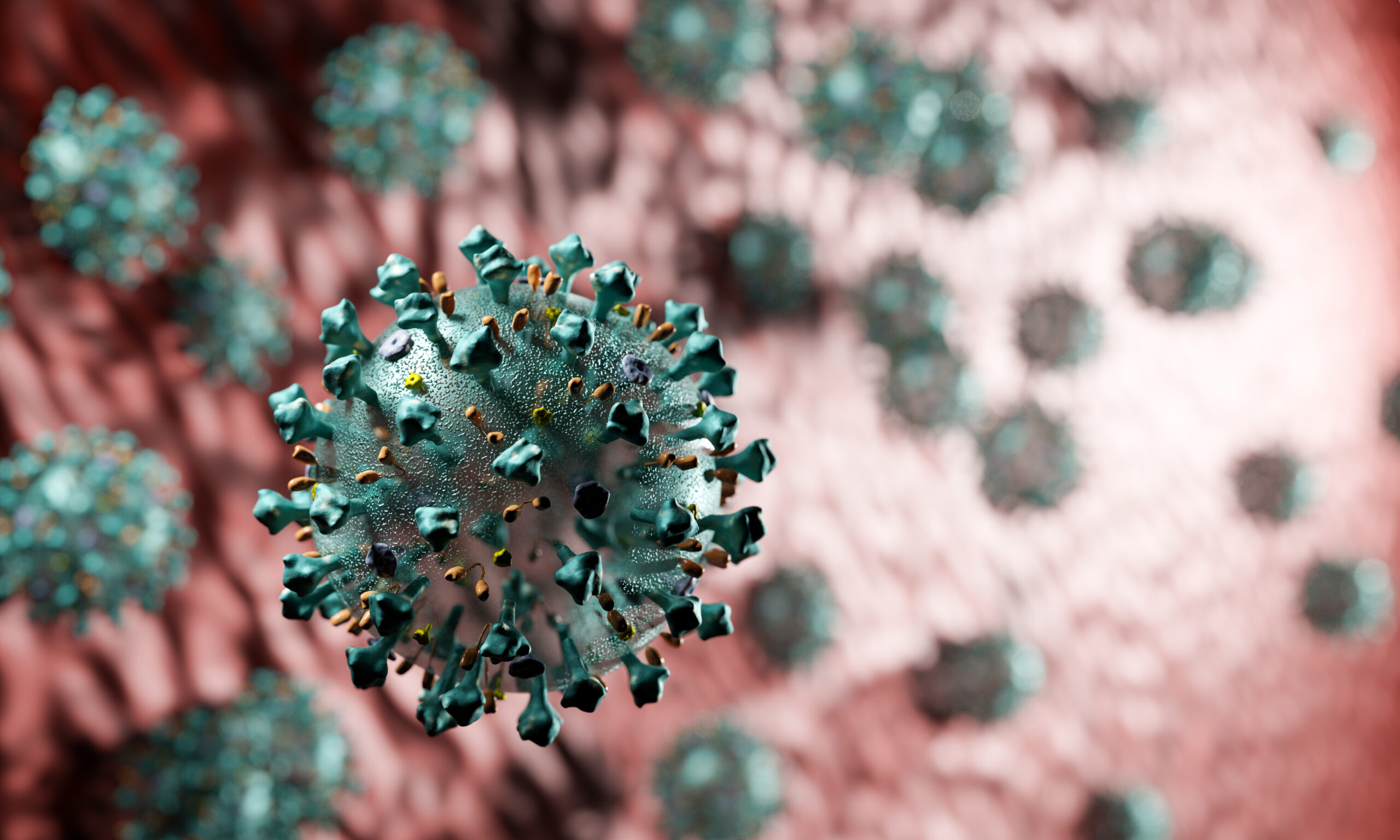 Virusul Nipah nu prezintă risc pandemic major