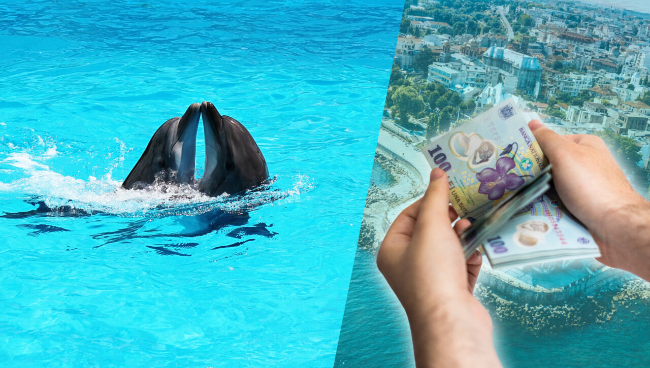 Delfinariul din Constanța, în impas. Reprezentațiile cu un singur delfin nu sunt o opțiune