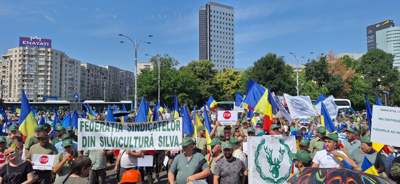 Reorganizarea ROMSILVA reaprinde conflictul dintre sindicate și Ministerul Mediului / Ministerul Justiției solicită refacerea proiectului de HG