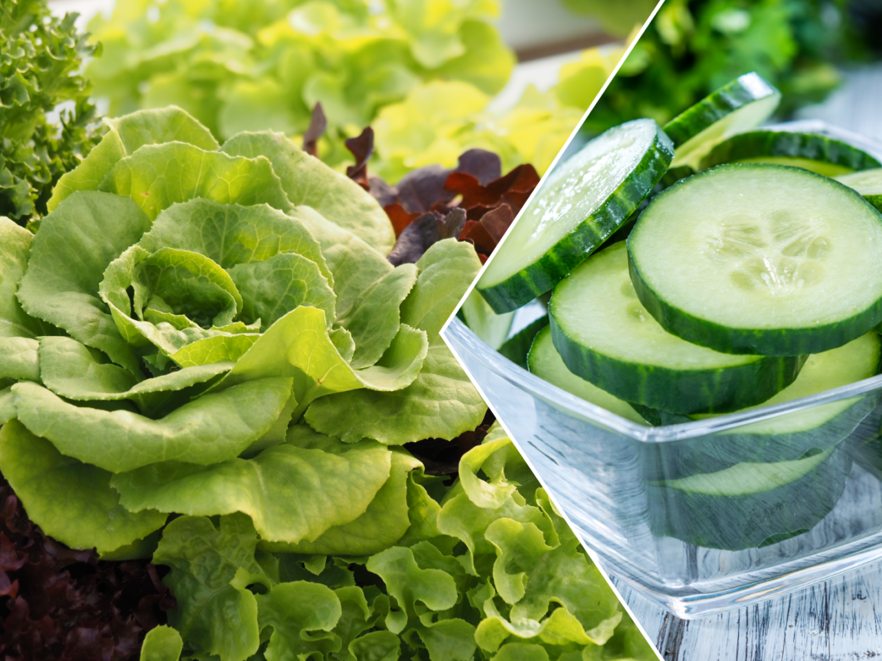 Ce se întâmplă în organism dacă mănânci salată verde și castraveți. Se află printre alimentele des consumate vara