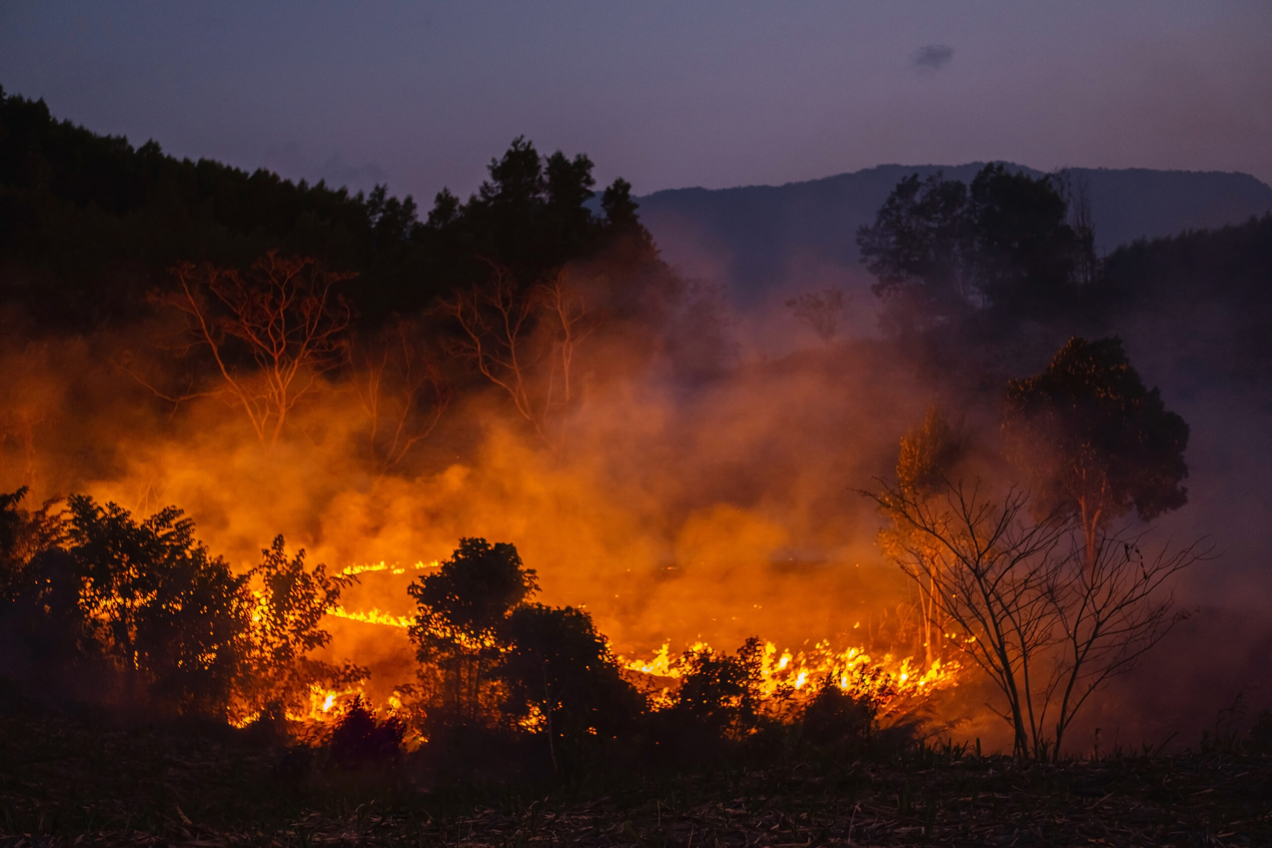 Românul mort în incendiul din Spania: o poveste tragică