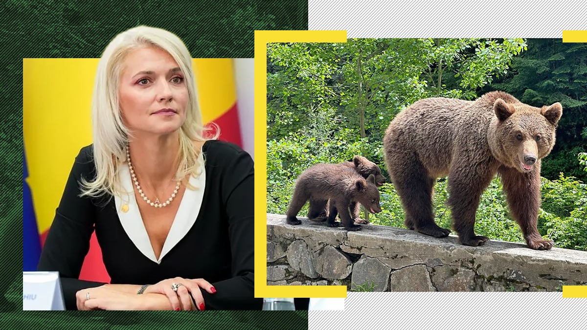 Alina Gorghiu a găsit soluția la problema urșilor: „Nu coborâți din mașină!” Ce alte sfaturi salvatoare ne mai dă liberala