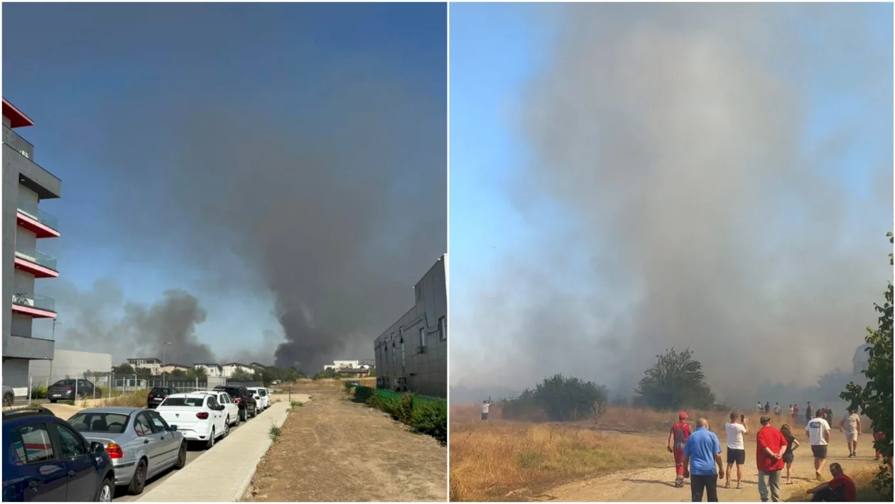 Incendiu de vegetație în vestul Capitalei, în zona Păcii, până în Militari Residence