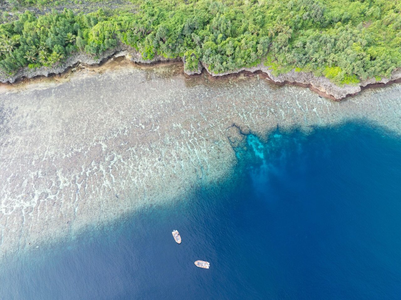 Descoperirea misterioasă din Indonezia care ar putea RESCRIE istoria evoluției umane. Este un instrument vechi de 1,5 milioane de ani