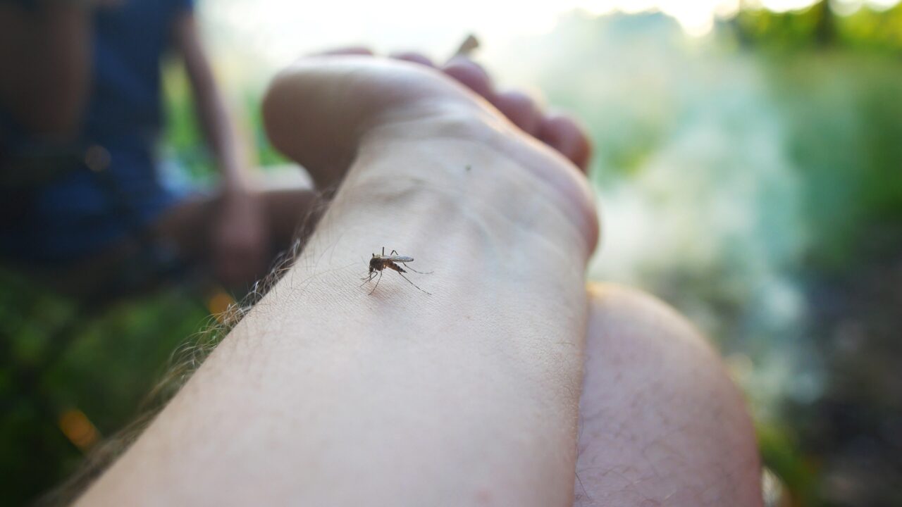 Ce să nu folosești niciodată în casă pentru a omorî insecte. Dr. Radu Țincu avertizează: „Am avut pacienți care au murit după expunere”