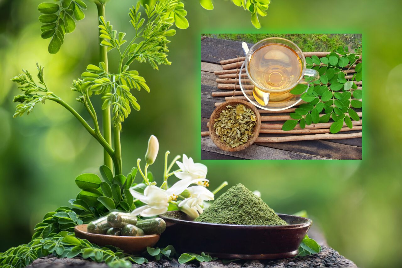 Planta bogată în nutrienți și antioxidanți, care este considerată un „superaliment”. Este folosită de mii de ani în medicina tradițională