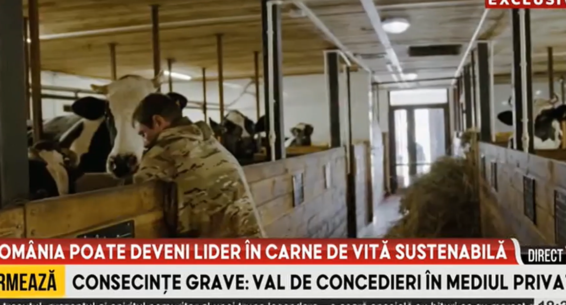 România poate deveni lider în carne de vită sustenabilă. Cererea de carne de vită din Uniunea Europeană este în creștere
