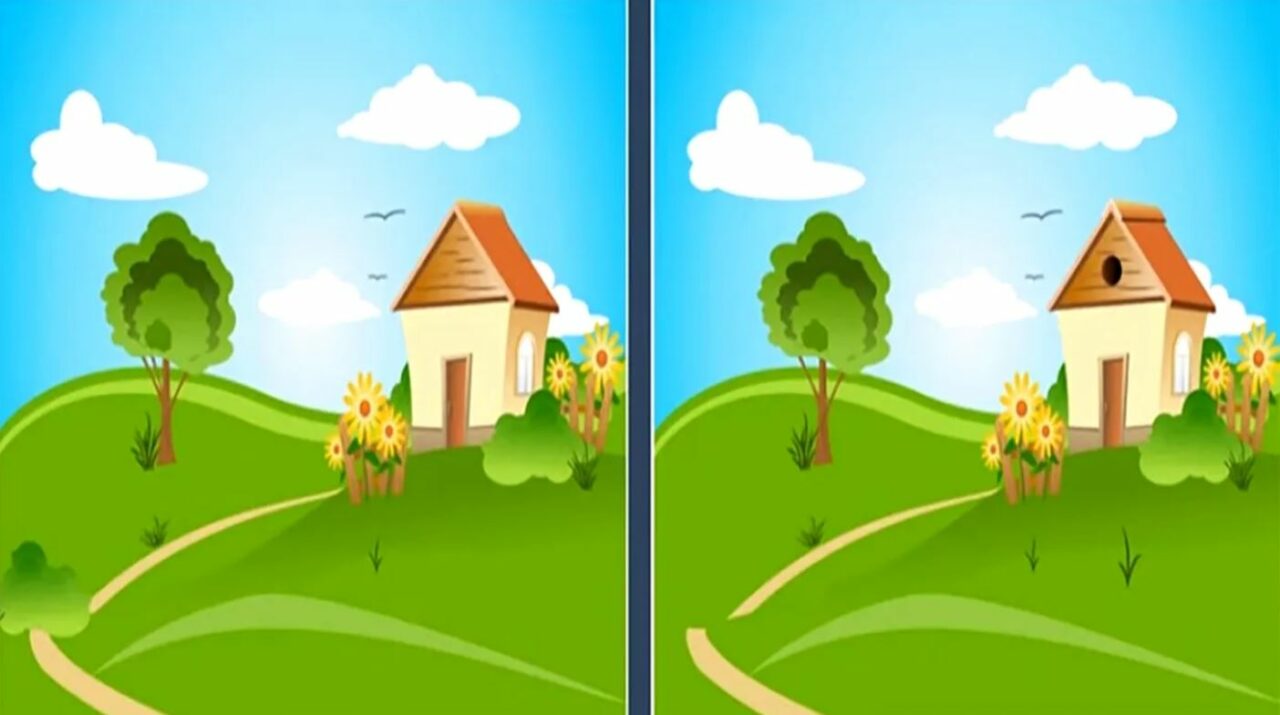 Test IQ | Identificați toate cele 5 diferențe între cele 2 imagini, în 15 secunde!