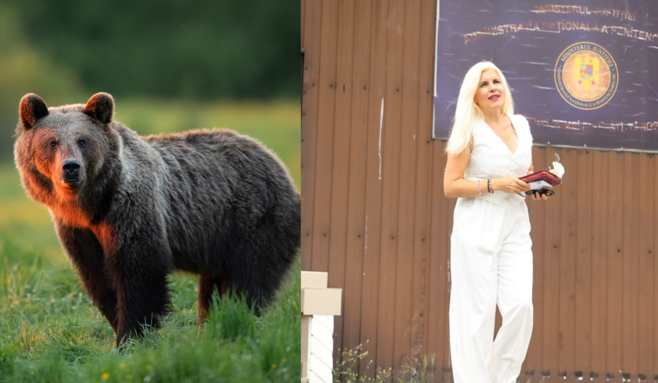 Elena Udrea și familia ei, salvați de un erou neașteptat