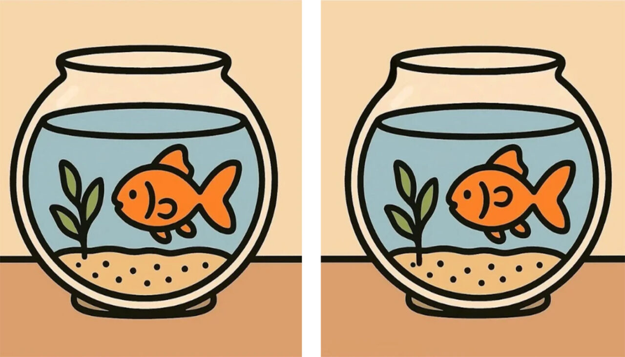 TEST IQ | Doar 1 dintre 20 de oameni poate descoperi toate cele 3 diferențe în maximum 17 secunde