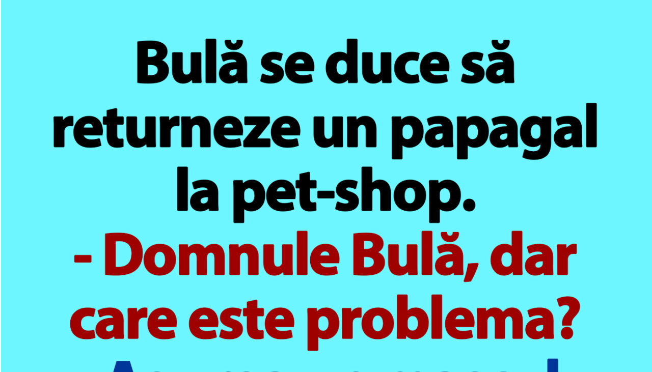 BANC | Bulă se duce să returneze un papagal la pet-shop