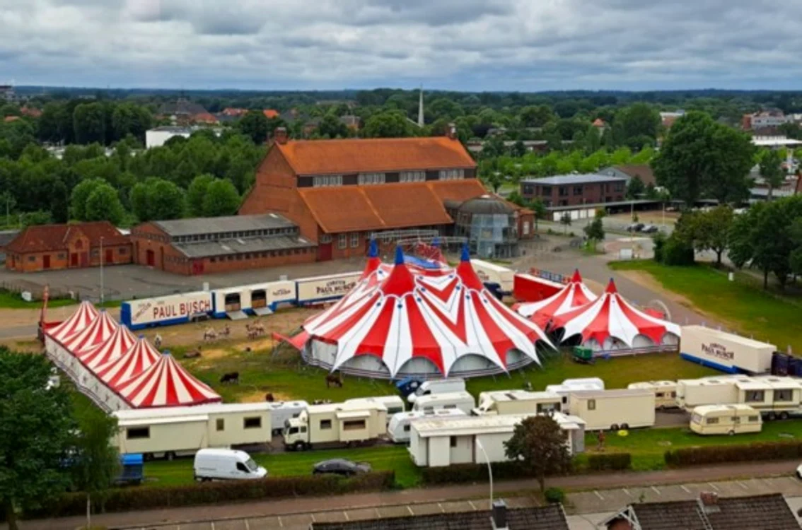 O acrobată a MURIT în timpul unui spectacol de circ, după ce a căzut de pe un trapez de la o înălțime de aproape 5 metri