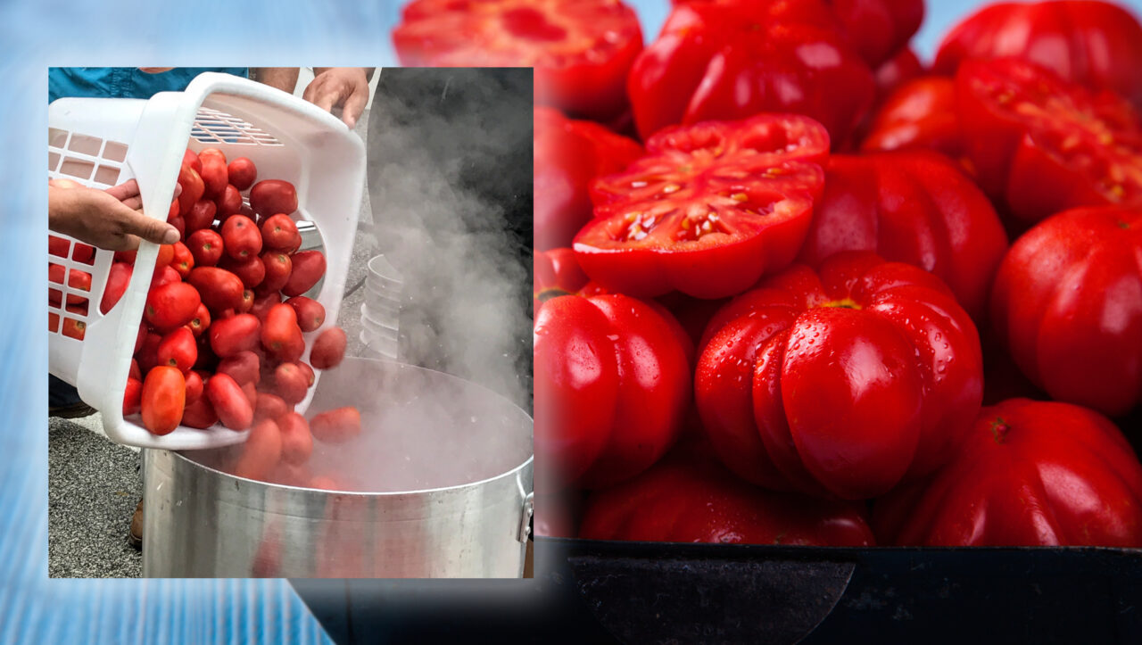 Cum să decojești roșii rapid și eficient. Trucul genial care nu îți pune răbdarea la încercare