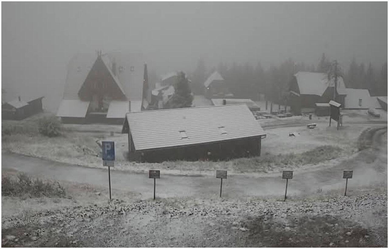 Imagini de decembrie în mai multe zone din țară. Stratul de zăpadă măsoară deja câțiva centimetri. Unde ninge în România