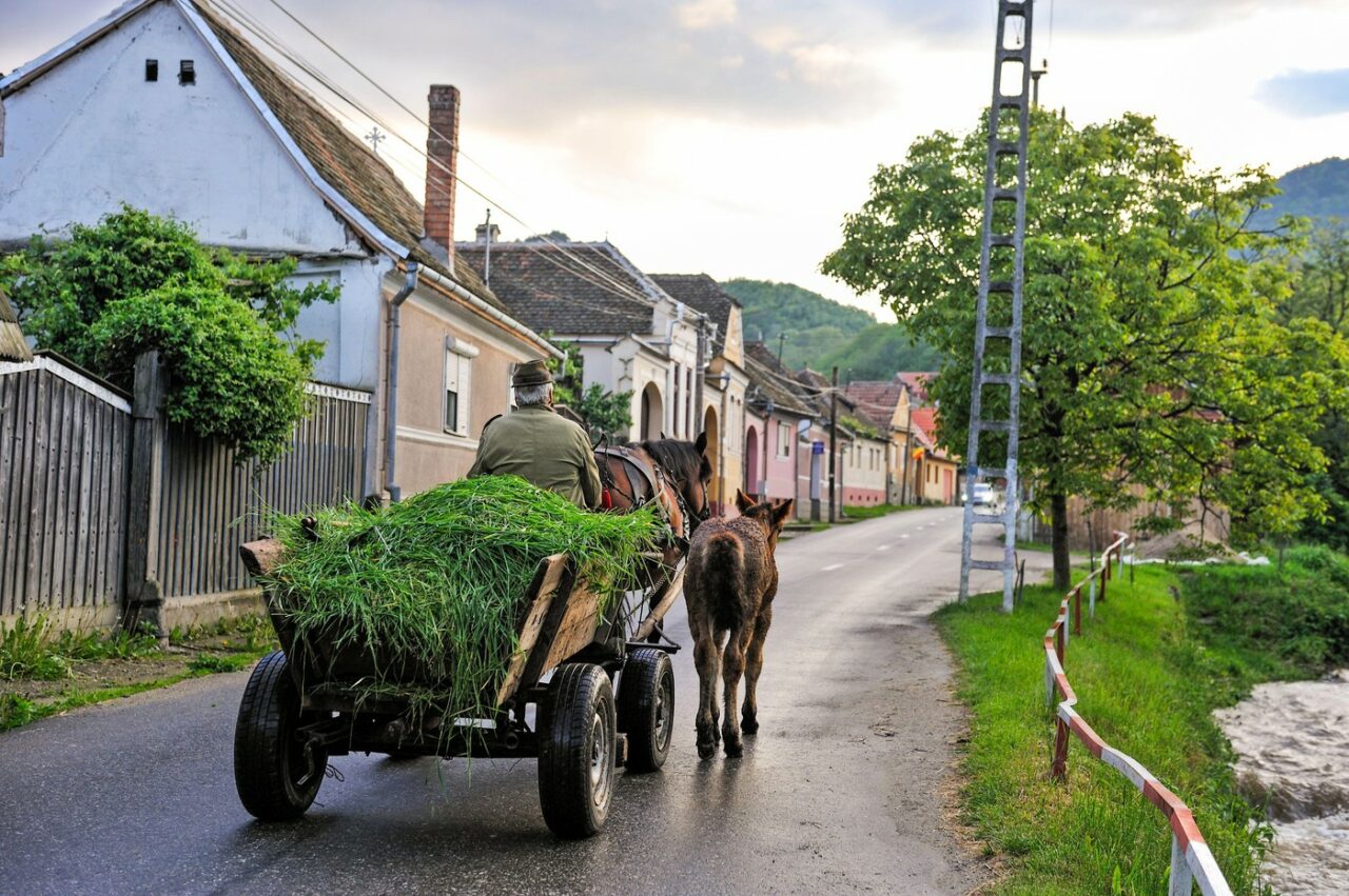 Decizia care a schimbat radical viața unui cuplu de români. Au lăsat în urmă viața agitată a Capitalei pentru liniștea unui SAT din Sibiu
