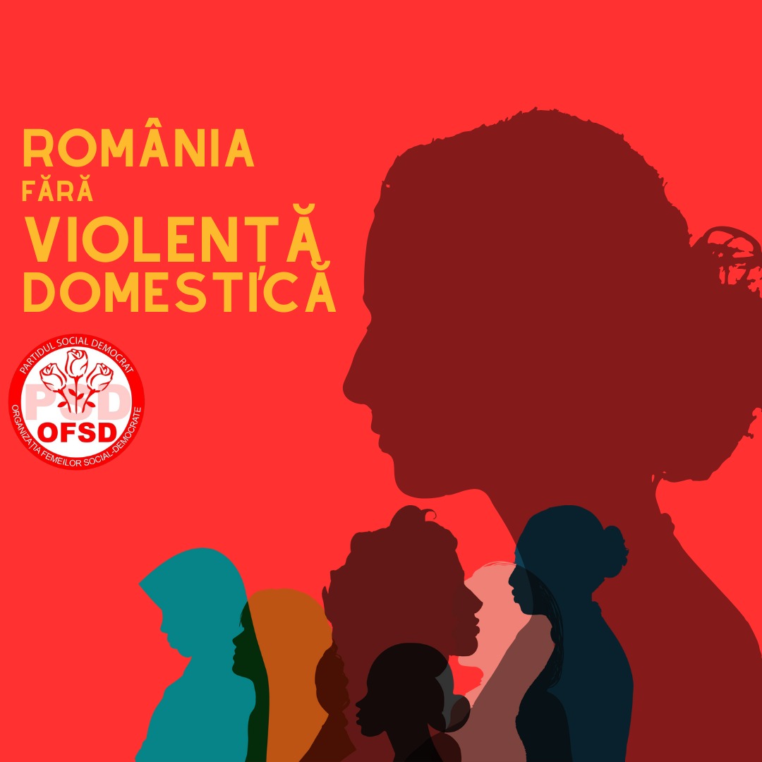 Femeile social-democrate luptă împotriva violenței domestice: „OFSD a început demersurile pentru reglementarea prin lege a femicidului”