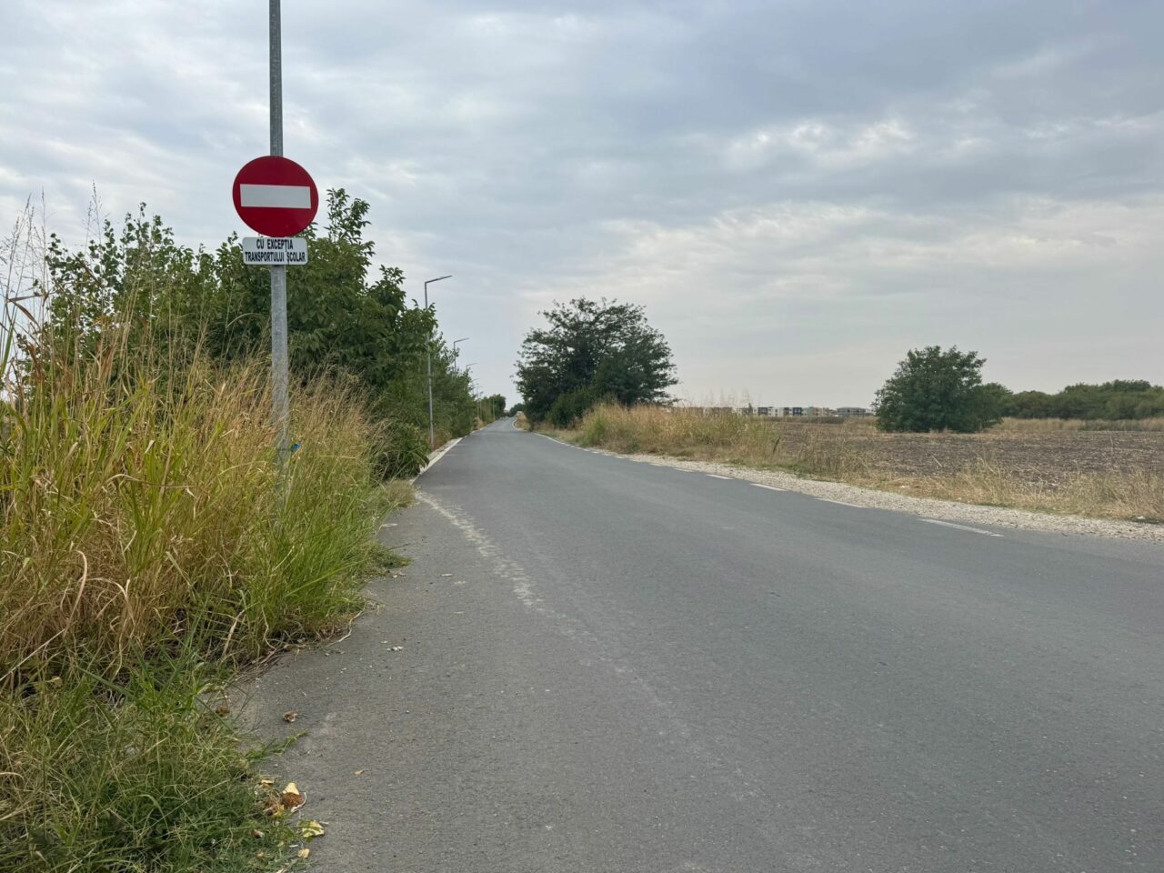 Sens unic „cu dedicație”? Suspiciuni privind decizia controversată de pe strada Marin Preda din Otopeni