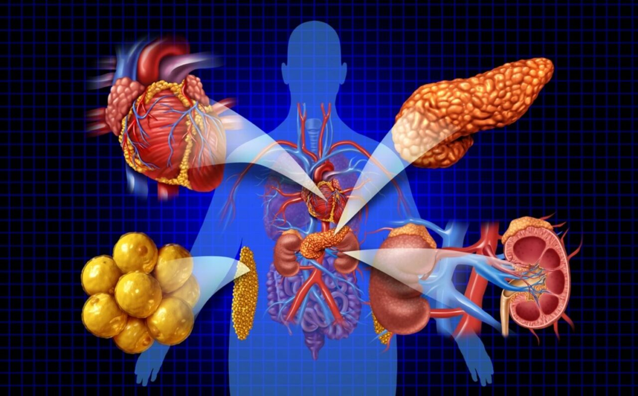 (P) Importanța analizelor în diagnosticarea bolilor metabolice și cardiovasculare