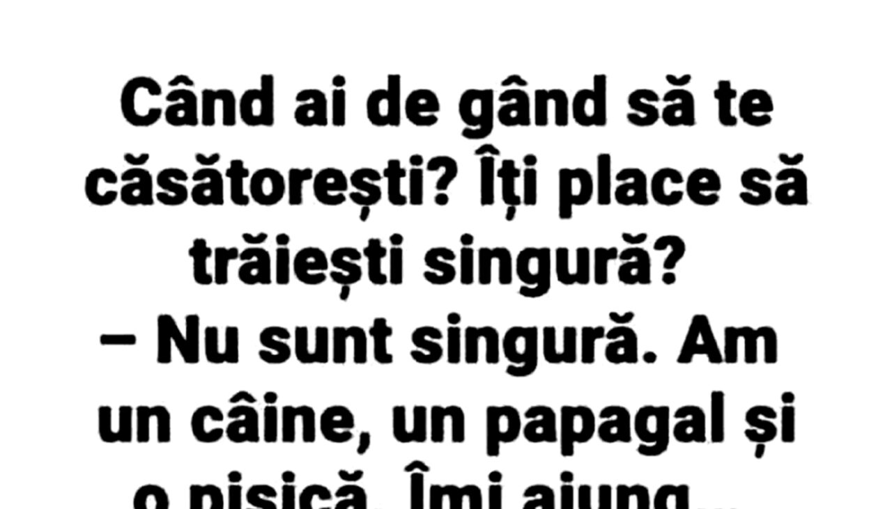 BANCUL ZILEI | Câinele, papagalul și pisica