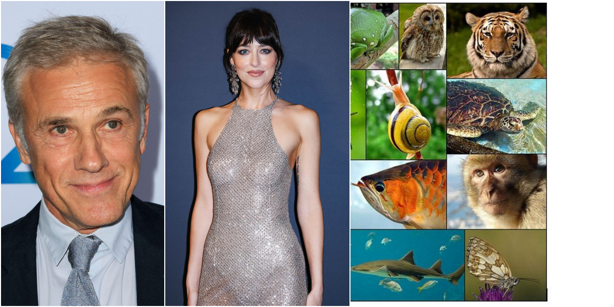4 OCTOMBRIE, calendarul zilei: Christoph Waltz împlinește 69 de ani, Dakota Johnson 36/ Ziua Mondială a Animalelor