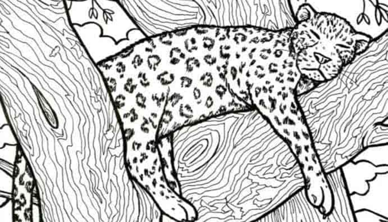 Test de perspicacitate | Doar 3 dintre 100 de oameni pot identifica peștele ascuns în această iluzie optică