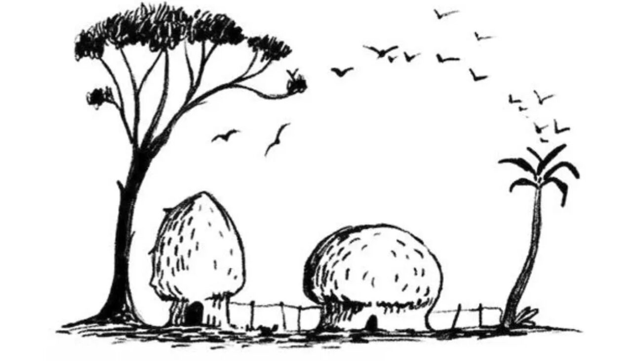 TEST IQ | 99% nu reușesc! Tu poți identifica elefantul ascuns în această iluzie optică?