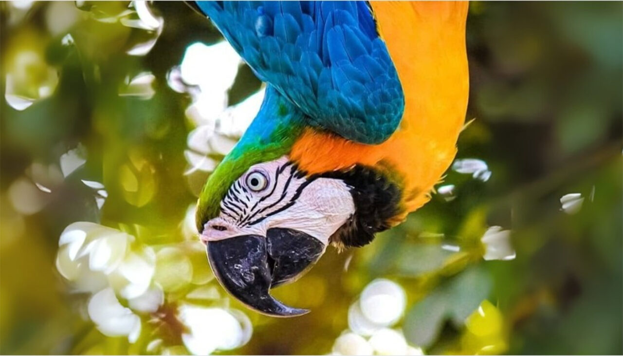 Test de inteligență | Doar un geniu poate vedea sticla din această iluzie optică virală