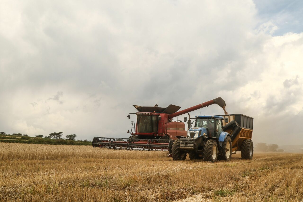 Haosul comercial instaurat pe plan mondial de Trump creează noi OPORTUNITĂȚI pentru fermierii africani