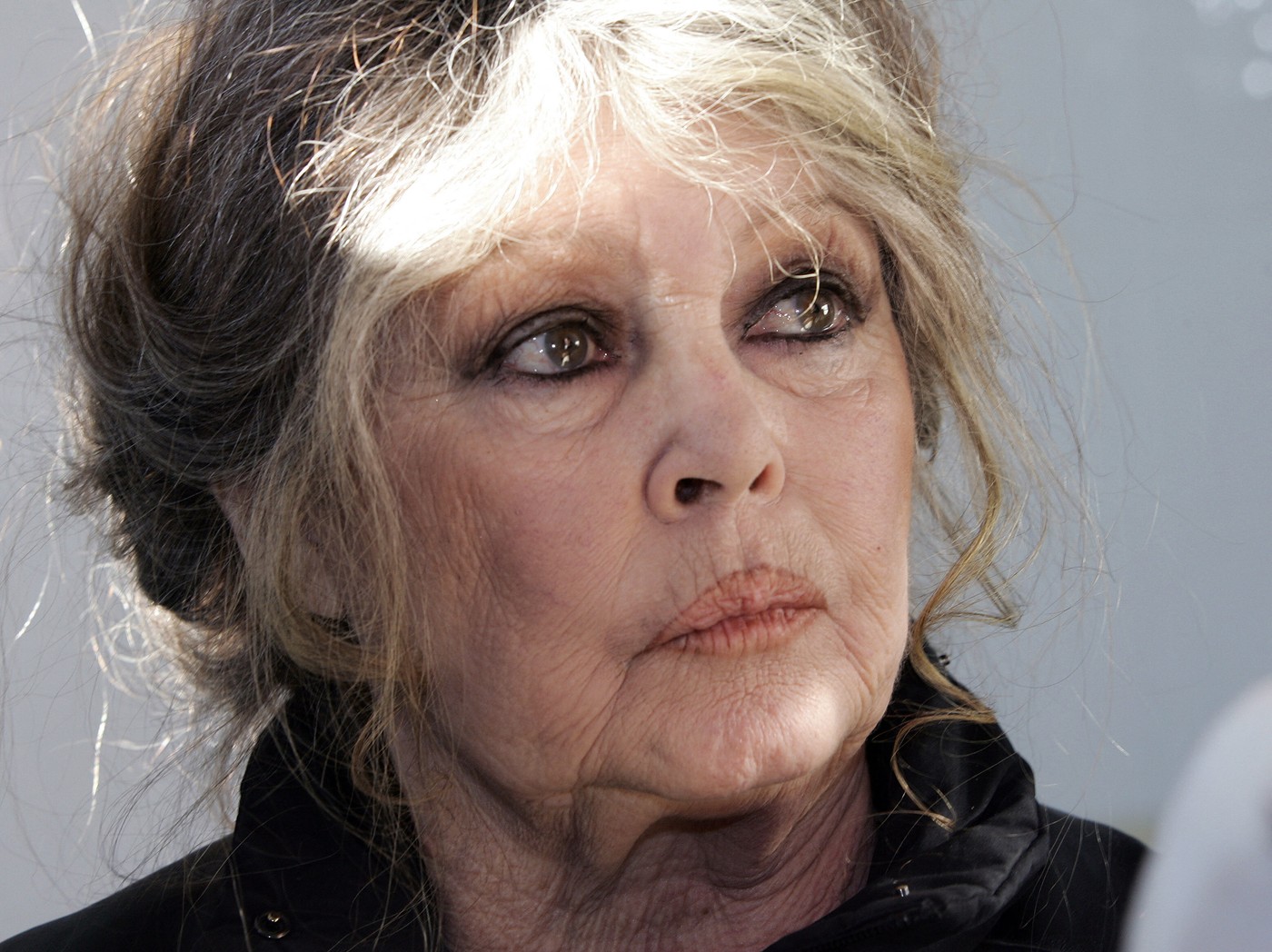 Brigitte Bardot, internată în stare GRAVĂ la spitalul din Toulon