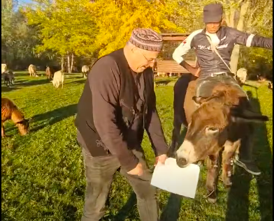 Poezia lui Mircea Dinescu: Mărturisirea căprarului Ciucurel, căruia i s-a arătat Drona în pădurea de la Maglavit