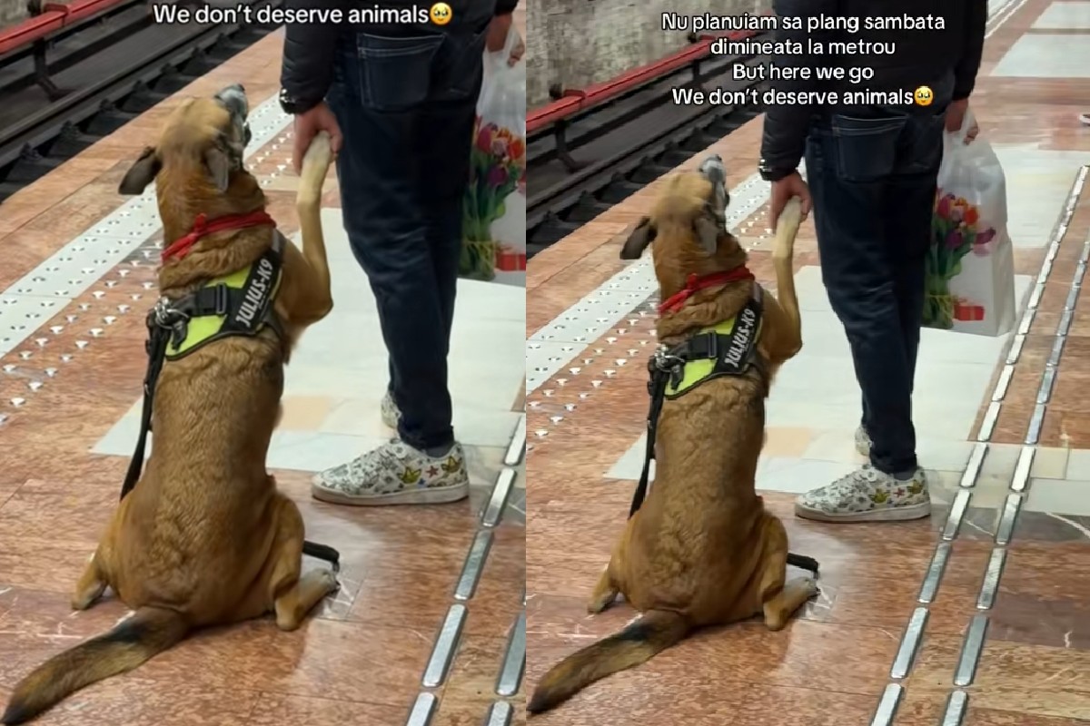 Un cățel a fost filmat în timp ce își ținea de mână stăpânul, în așteptarea metroului din București, iar imaginile au devenit virale